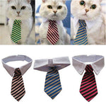 Cat Striped Tie