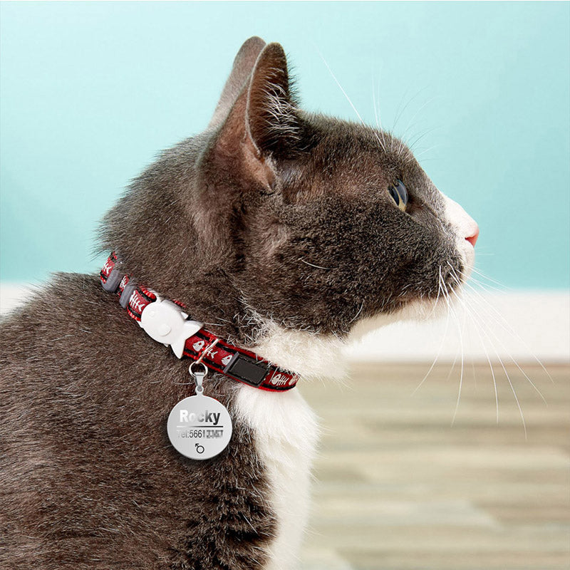 Engraved Cat ID tag